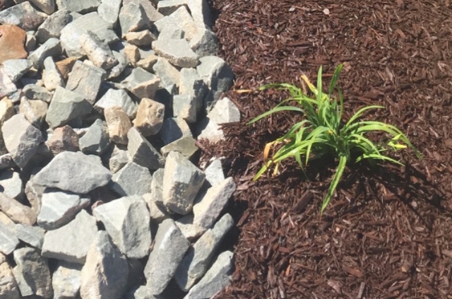 LM LANDSCAPING 7.jpeg