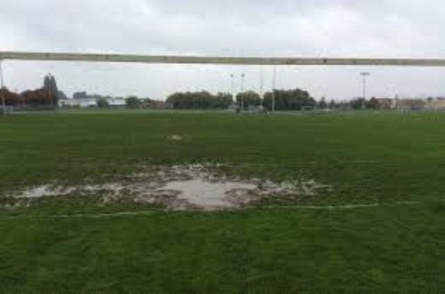 dryfieldsin pittsburgh.jpeg