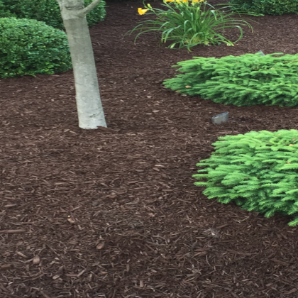 LM LANDSCAPING 4.jpeg