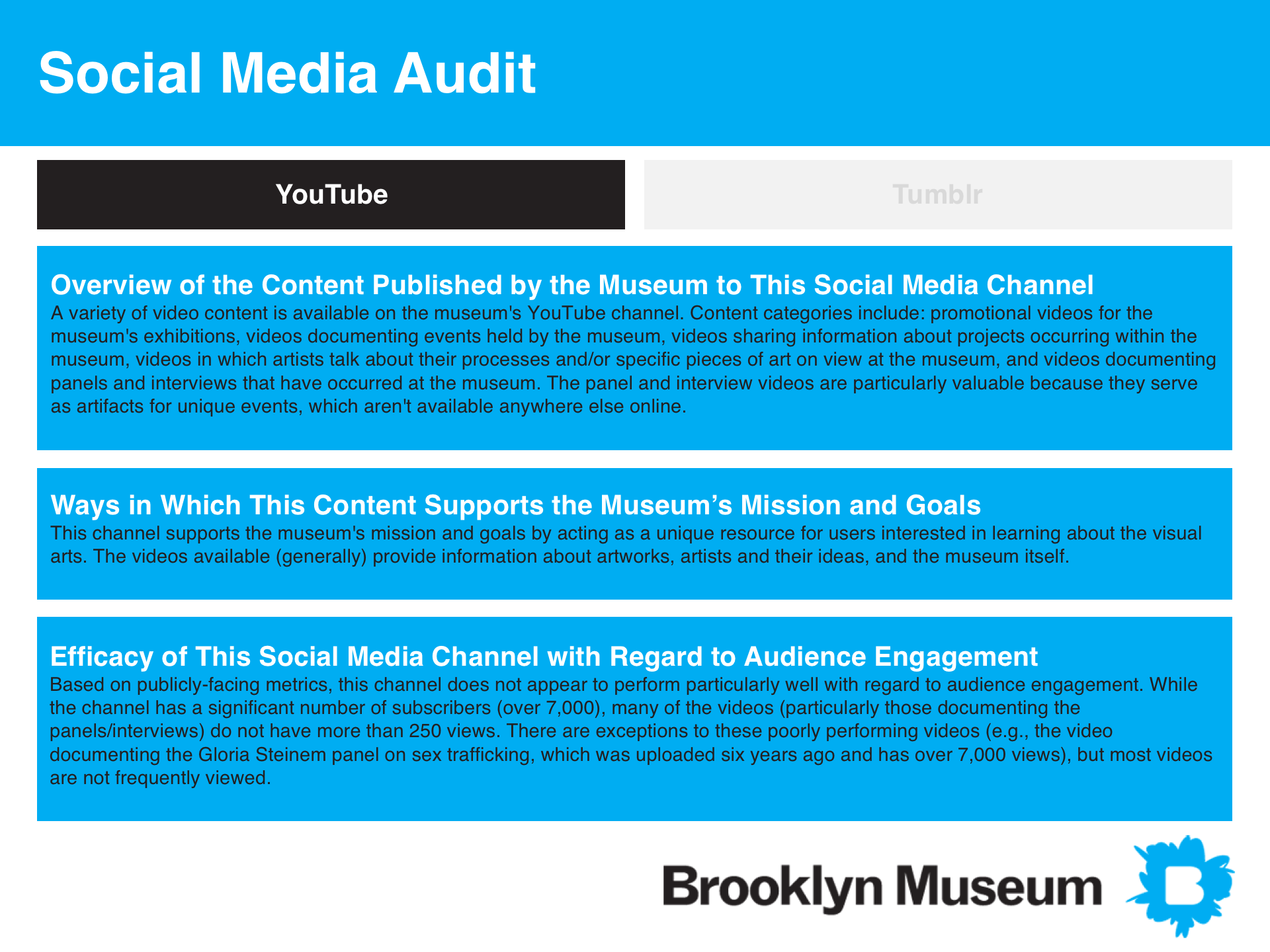 SocialMediaAudit_YouTube_1.png