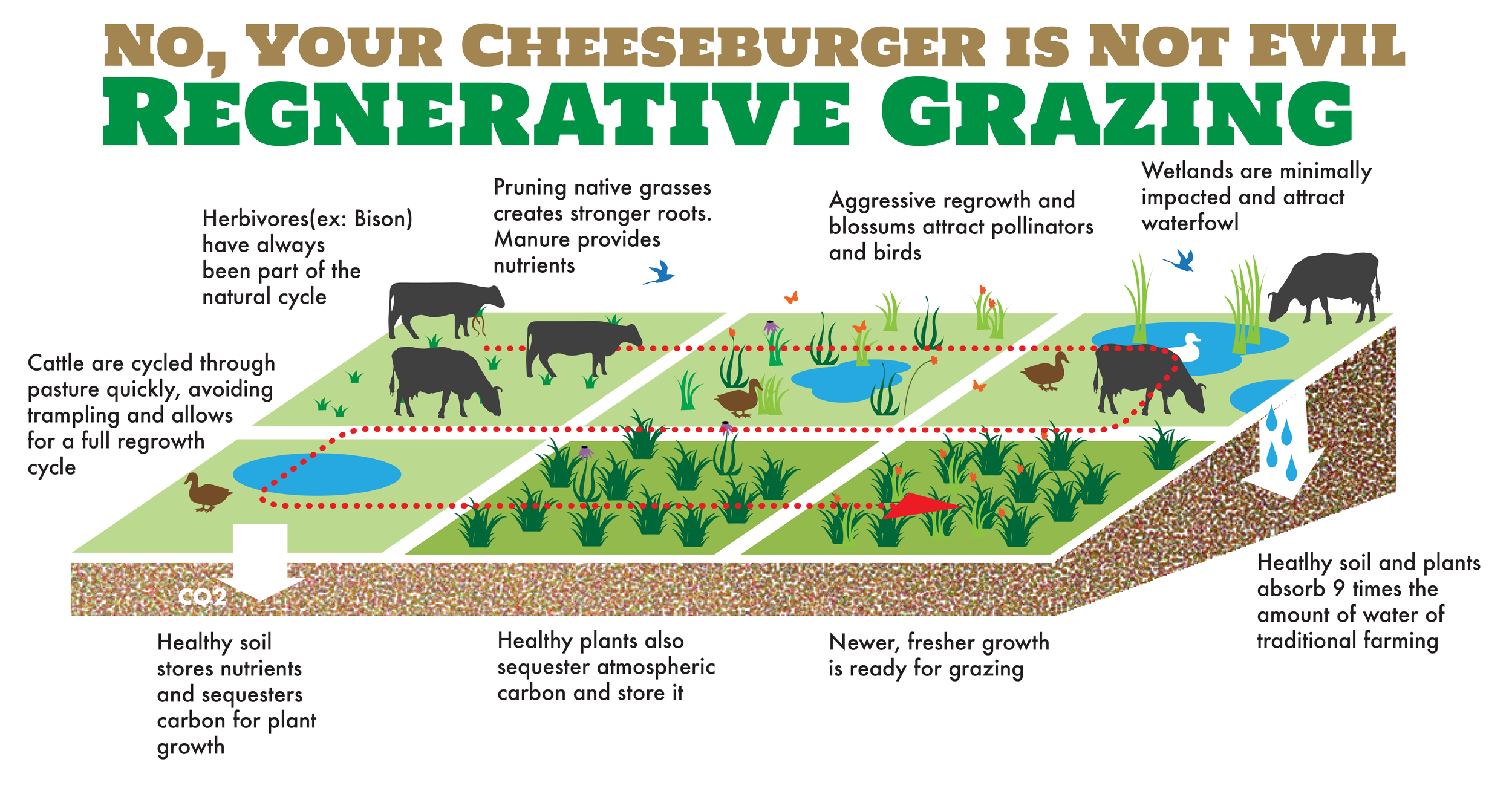 Regenerative Ranching