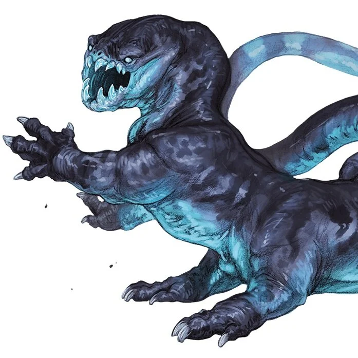 Frost Salamander