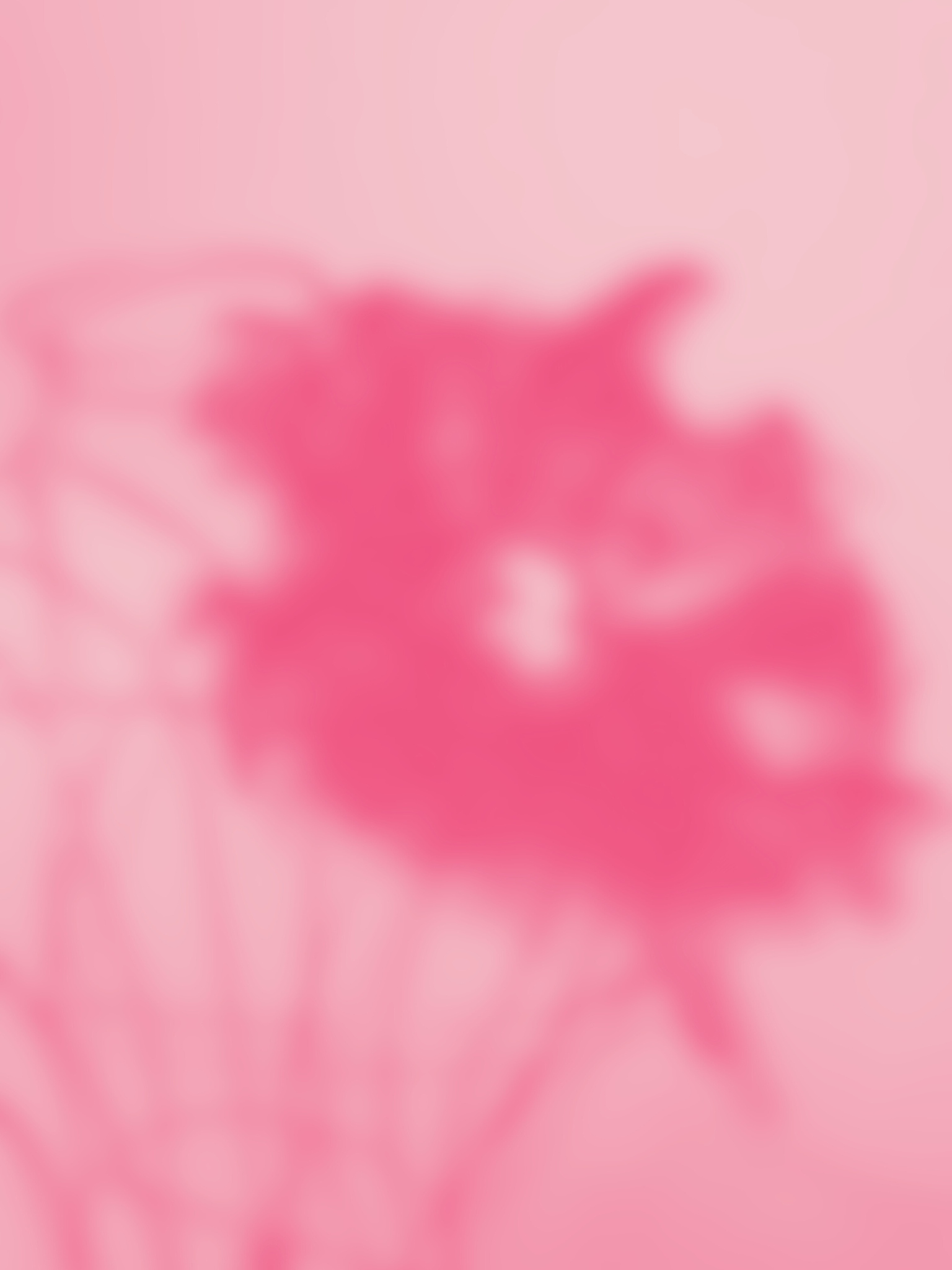 The Royal Gaze II Series: Pink Cocoa