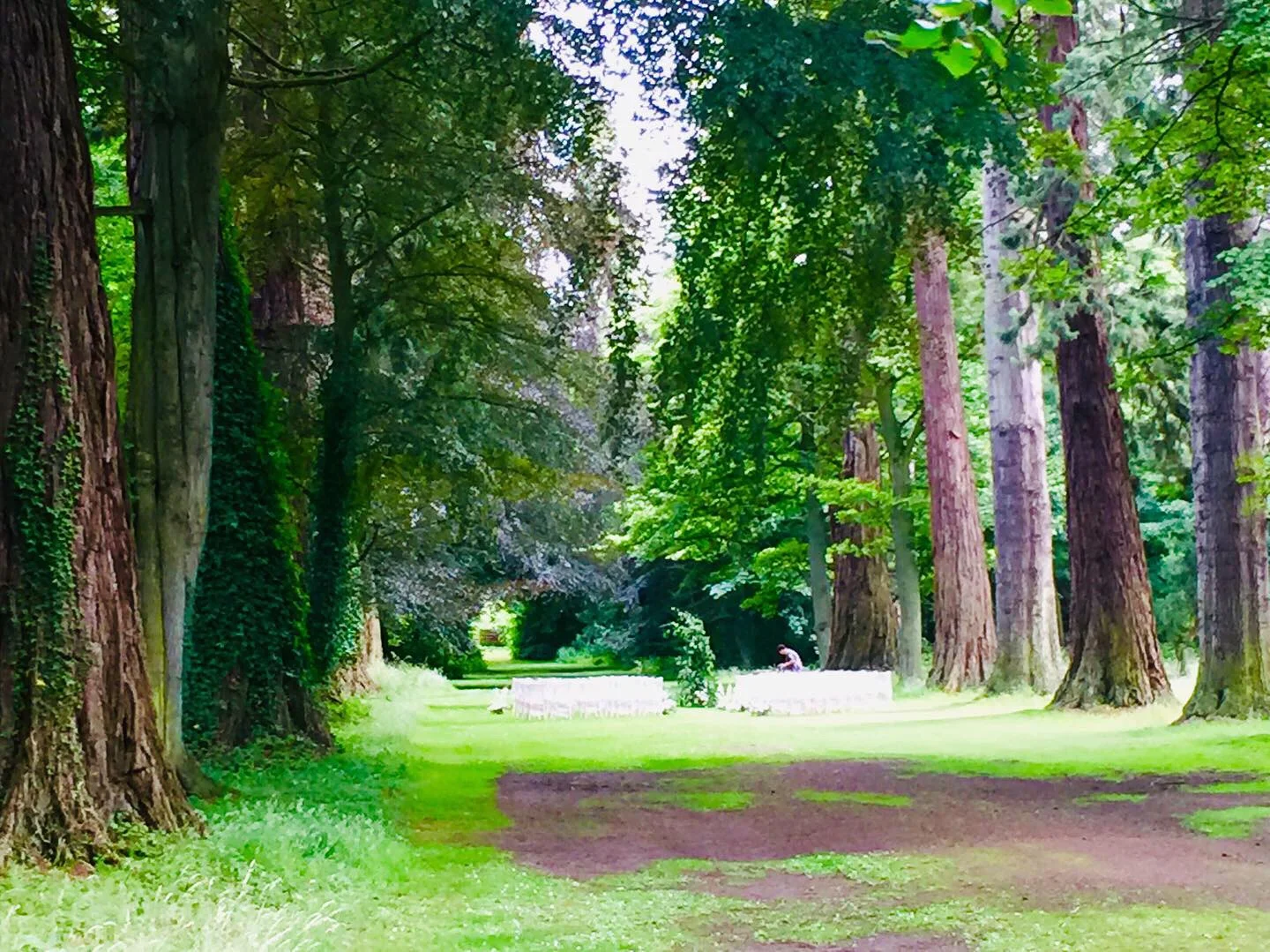 Outdoor wedding at Oxenfoord Castle
