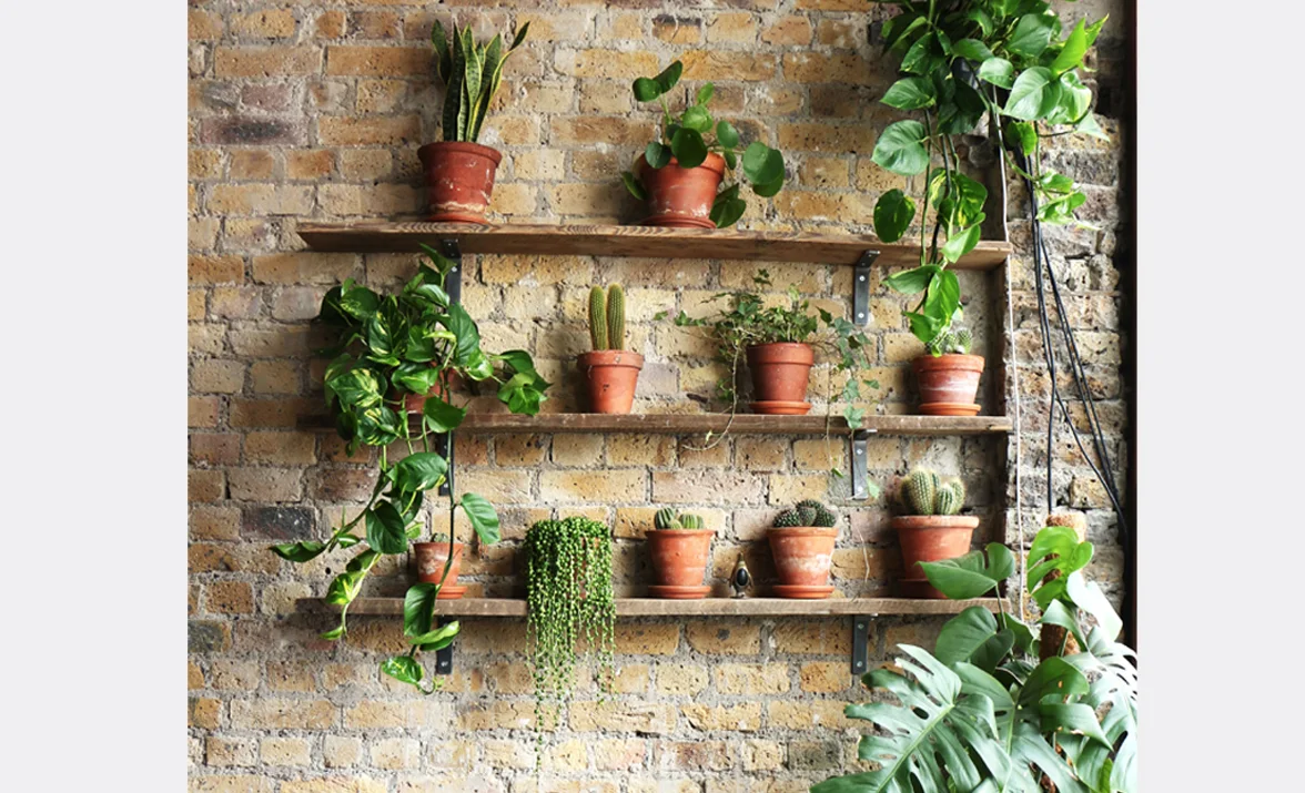 shelf-web-grey.jpg