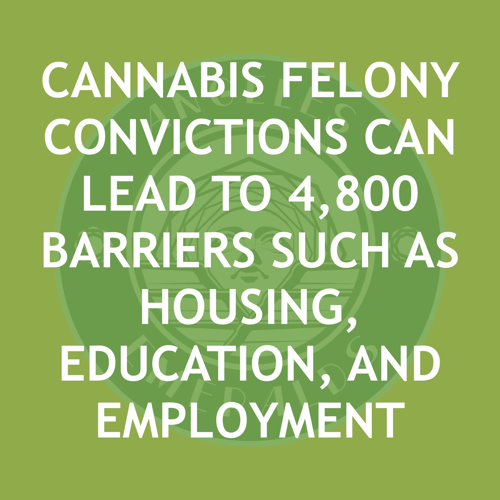Cannabis Felony Convictions Can Lead to 4,800 Barriers Such As Housing, Education, and Employment