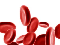 Blood Sugar regulation 