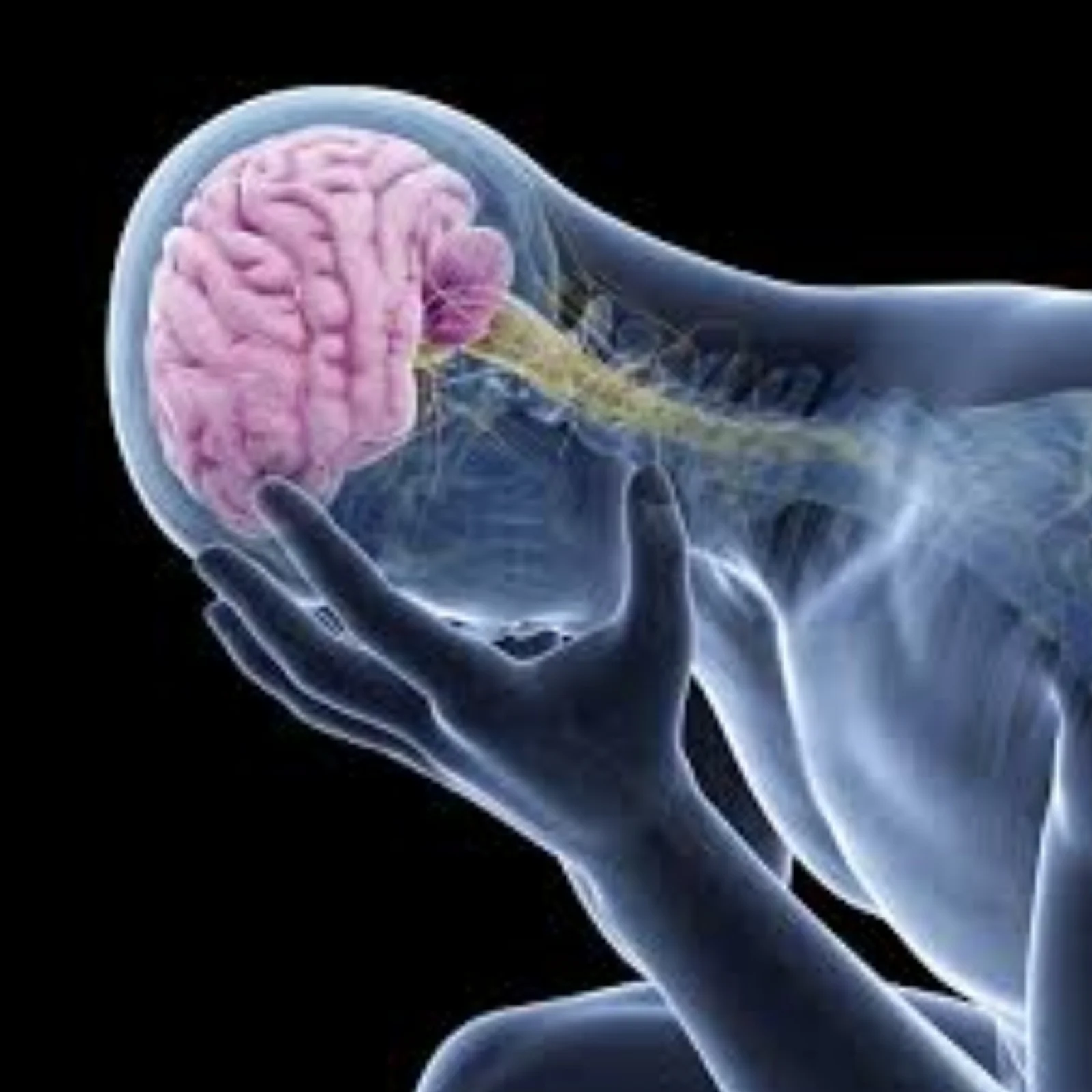 Chronic Fatigue Syndrome