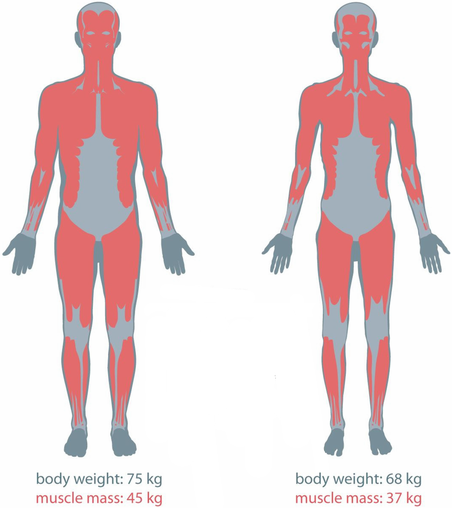 nutrients-08-00499-g001-1024.png