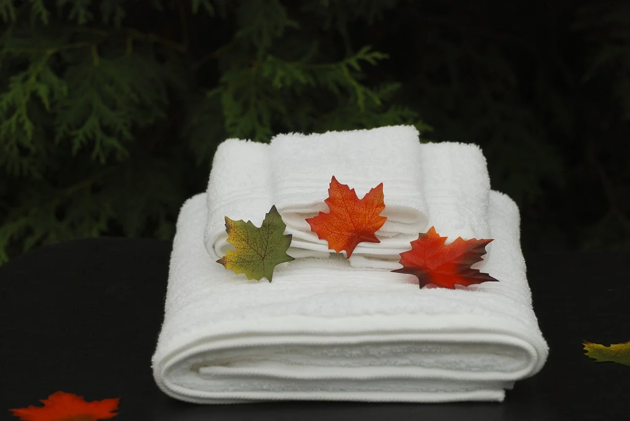 spa-1800394_1280.jpg