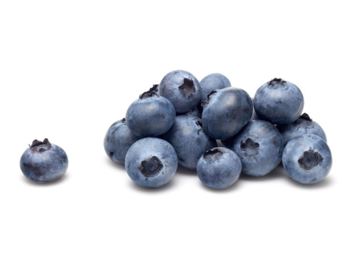 1343_erin_m_d4958106-19f2-4f05-9149-2c1492d8765c.png