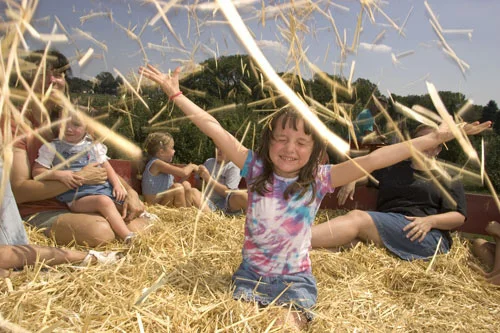 playing-in-hay.jpg