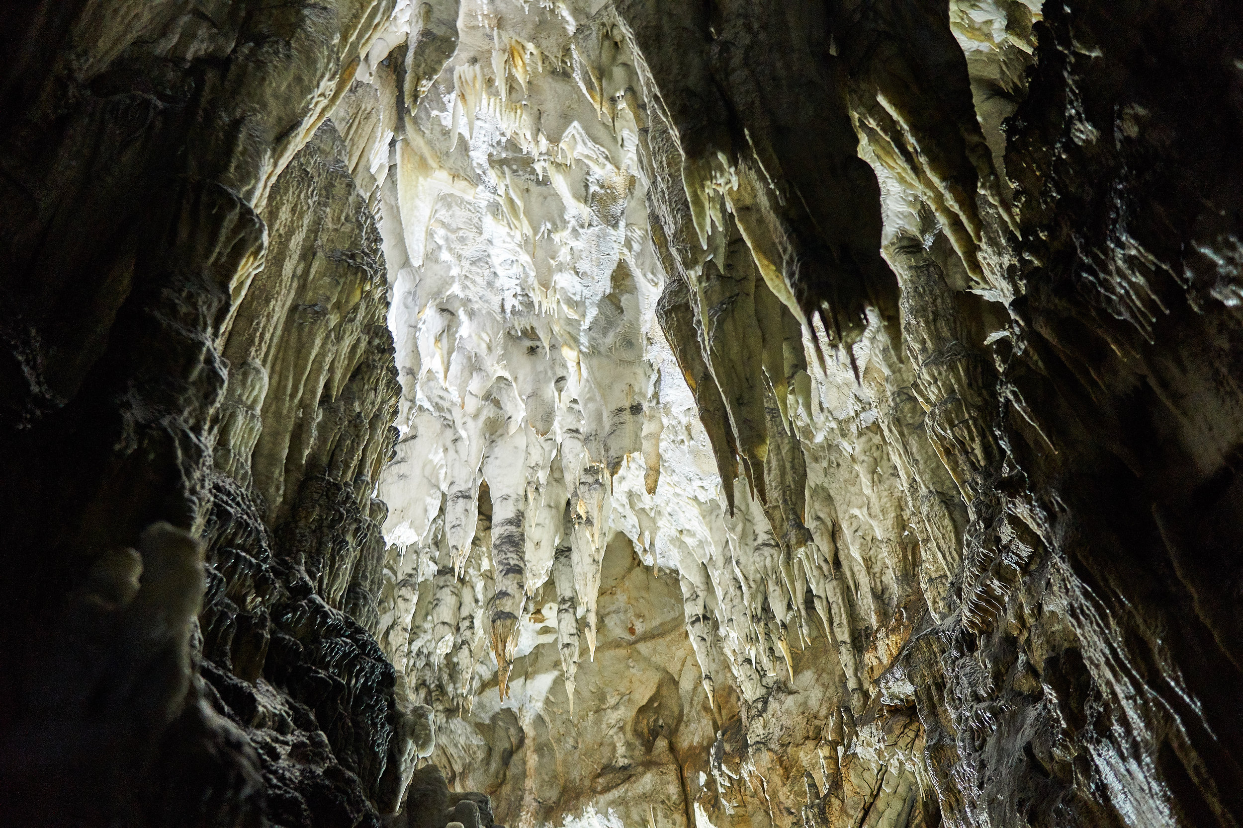 ice cave 3.jpg