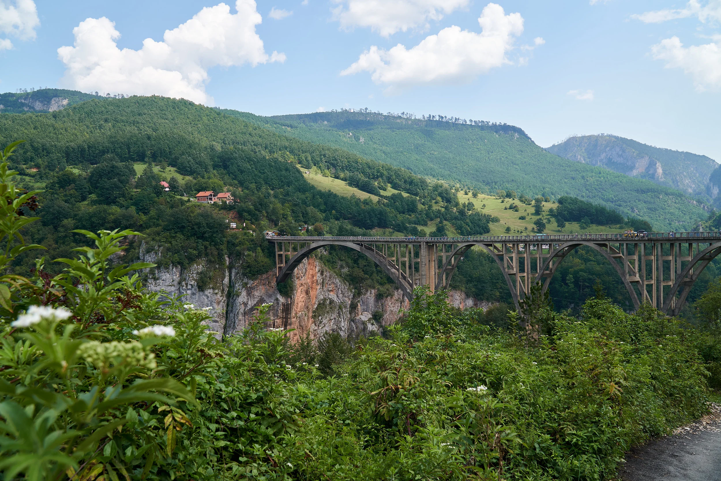 Tara Canyon bridge.jpg