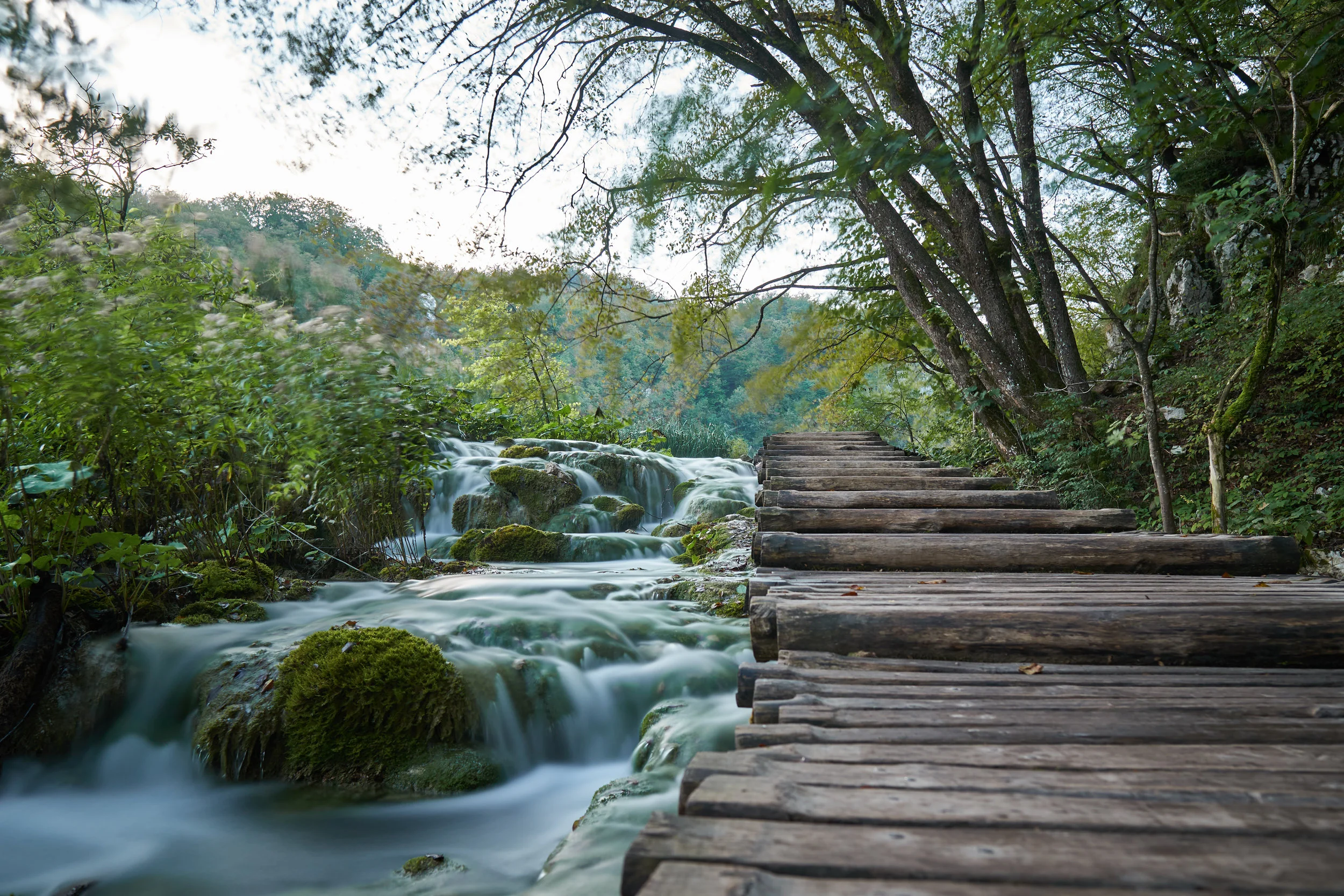 early morning day two waterfalls 5.jpg