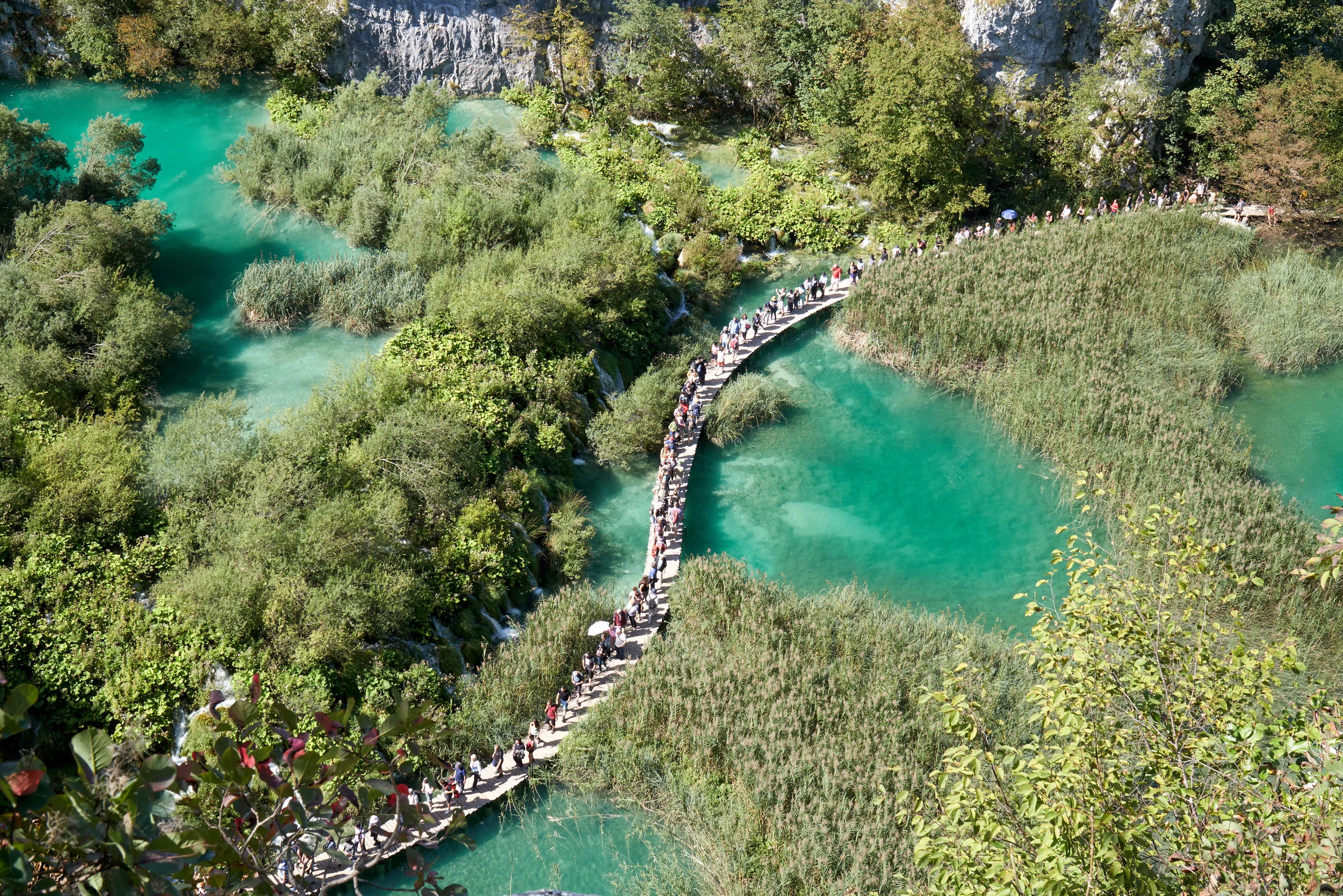 day two view from up top of people.jpg