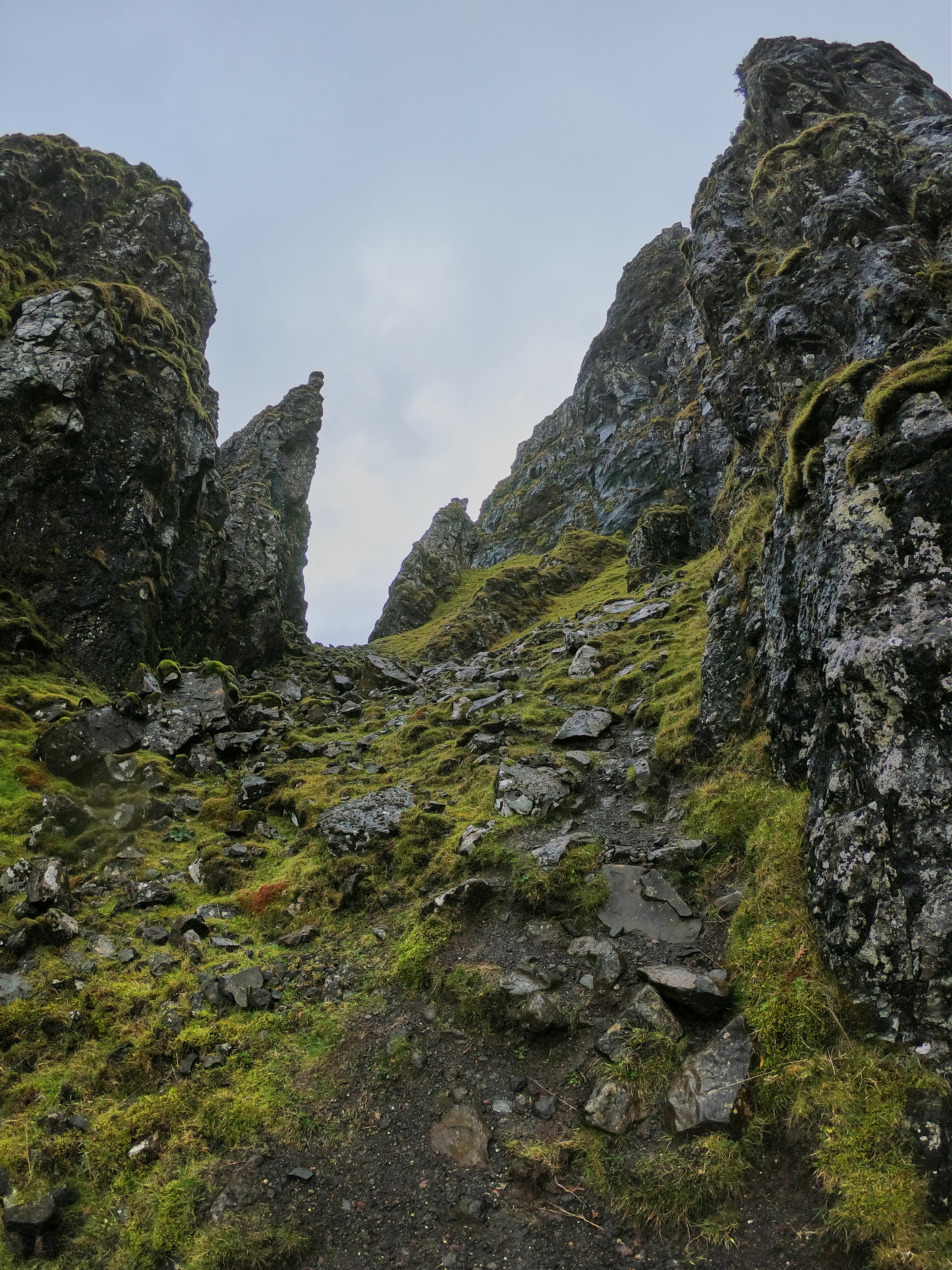 looking up.jpg