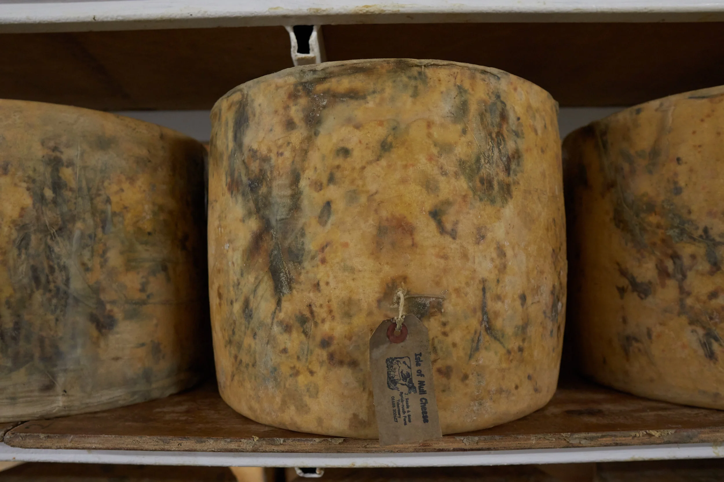 cheese2.jpg