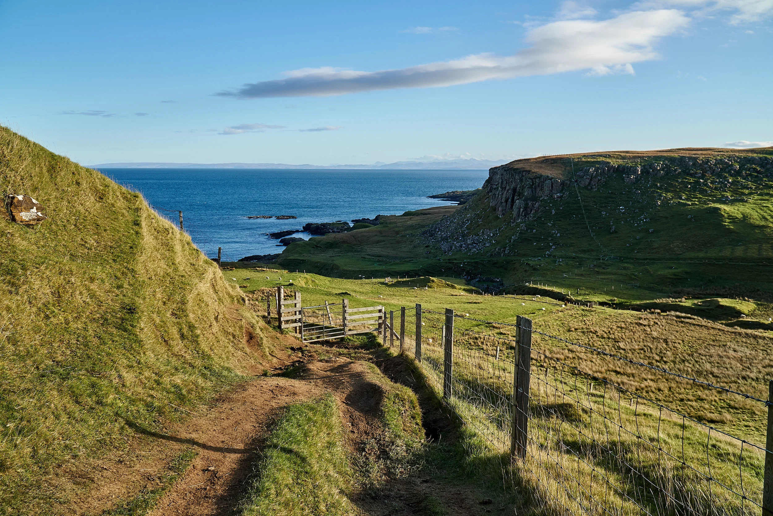 path at beginning2.jpg