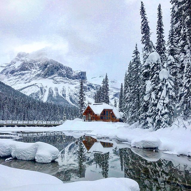 How do we live so close to Emerald Lake and not come here more often!?!? We are loving this winter wonderland ❤️.
.
.
.
#emeraldlake #emeraldlakelodge #yohonationalpark #yoho #fieldbc #goldenbc #cabinlife #mountaincabin #snowy #explorecanada #british