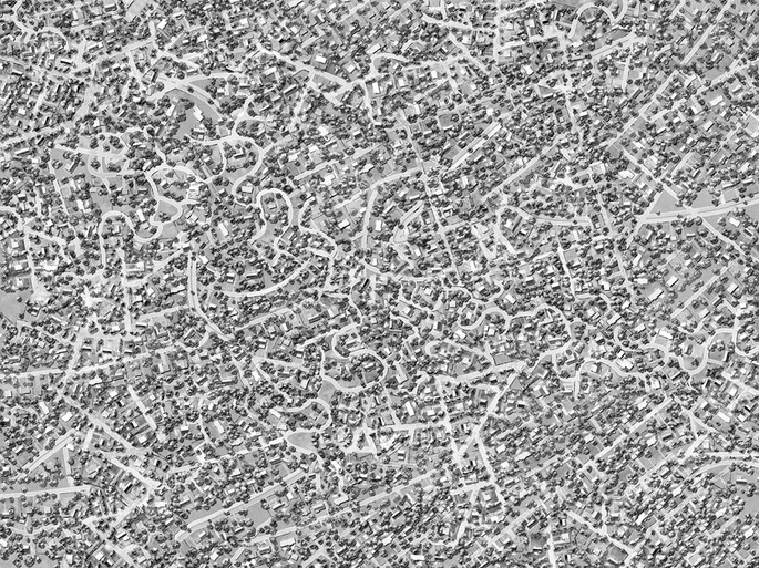Ross Racine, "Fields" edition of 5, 18 1/2"x 23 1/2"