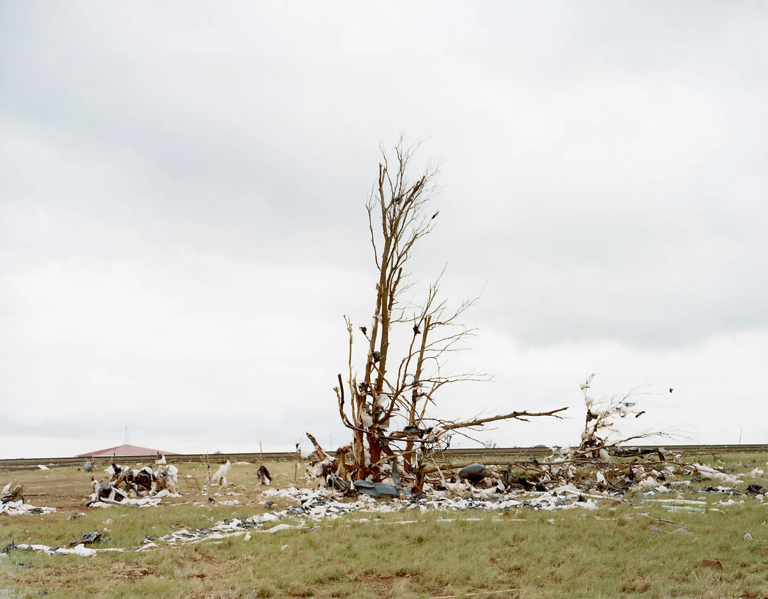 Sasha Bezzubov, Tornado #12, Oklahoma, 2004