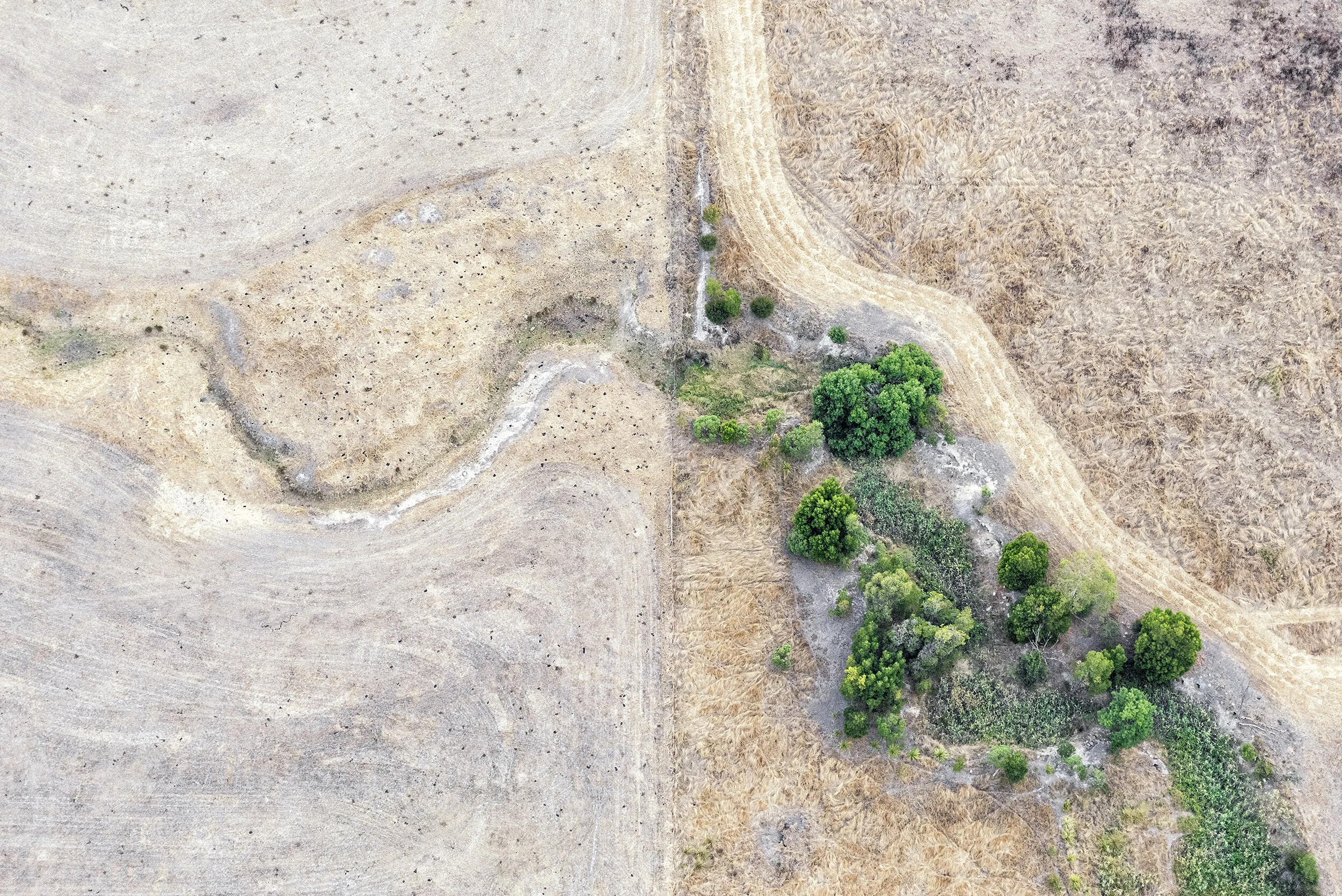 Zoe Wetherall, “Hint of Green” (archival pigment print) limited edition color photograph