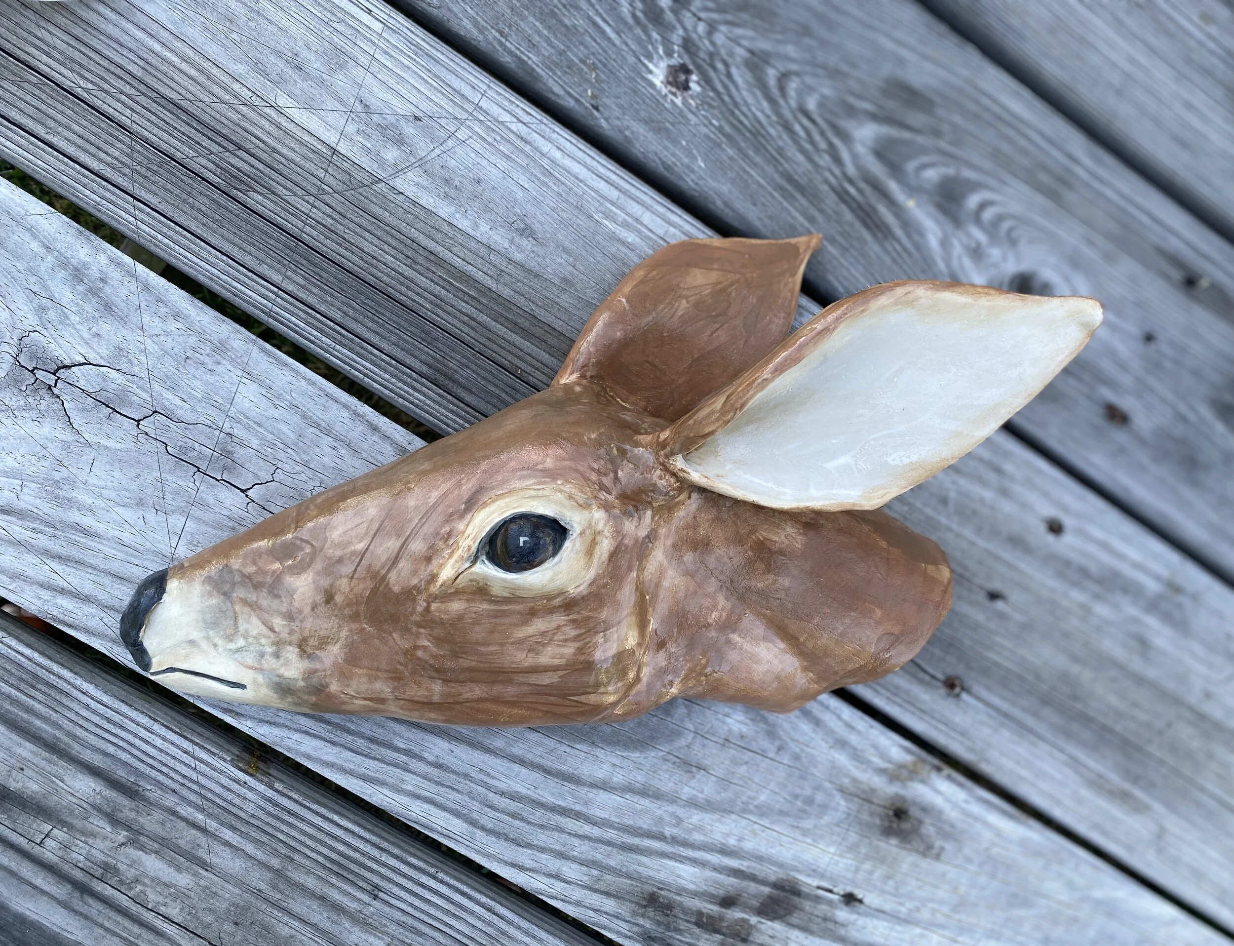 deer.jpg