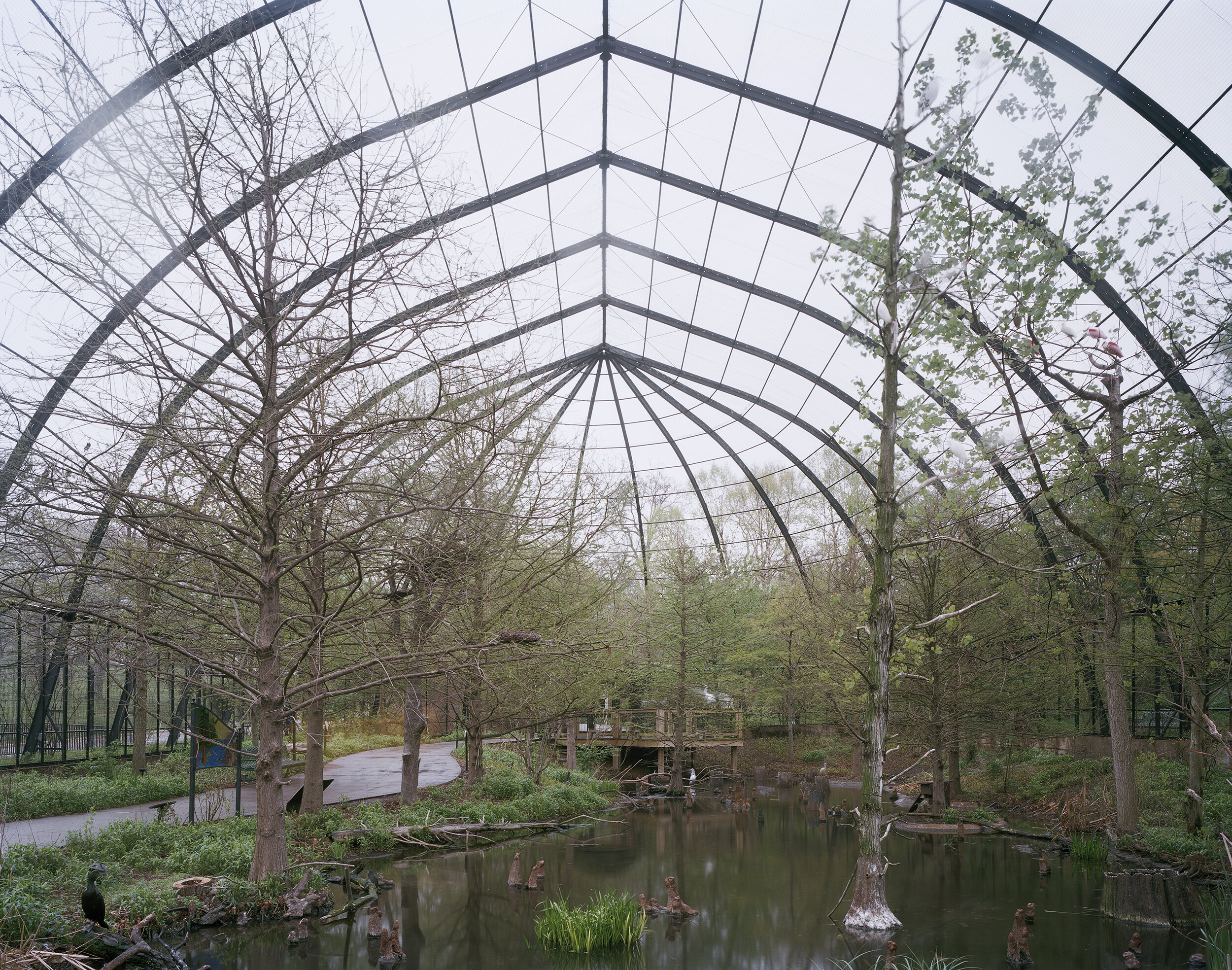 Jade-Doskow-StLouis-Aviary-Interior-FR-web-2020-Winter.jpg