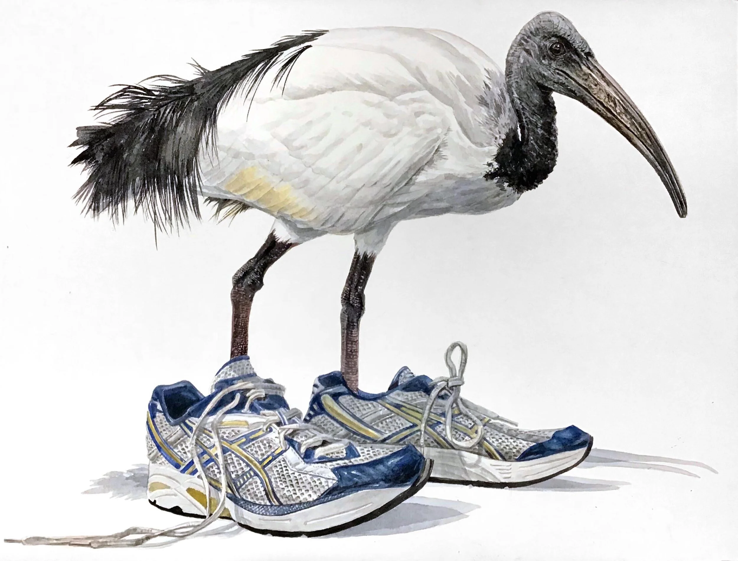 in my shoes2019 22x30.jpg