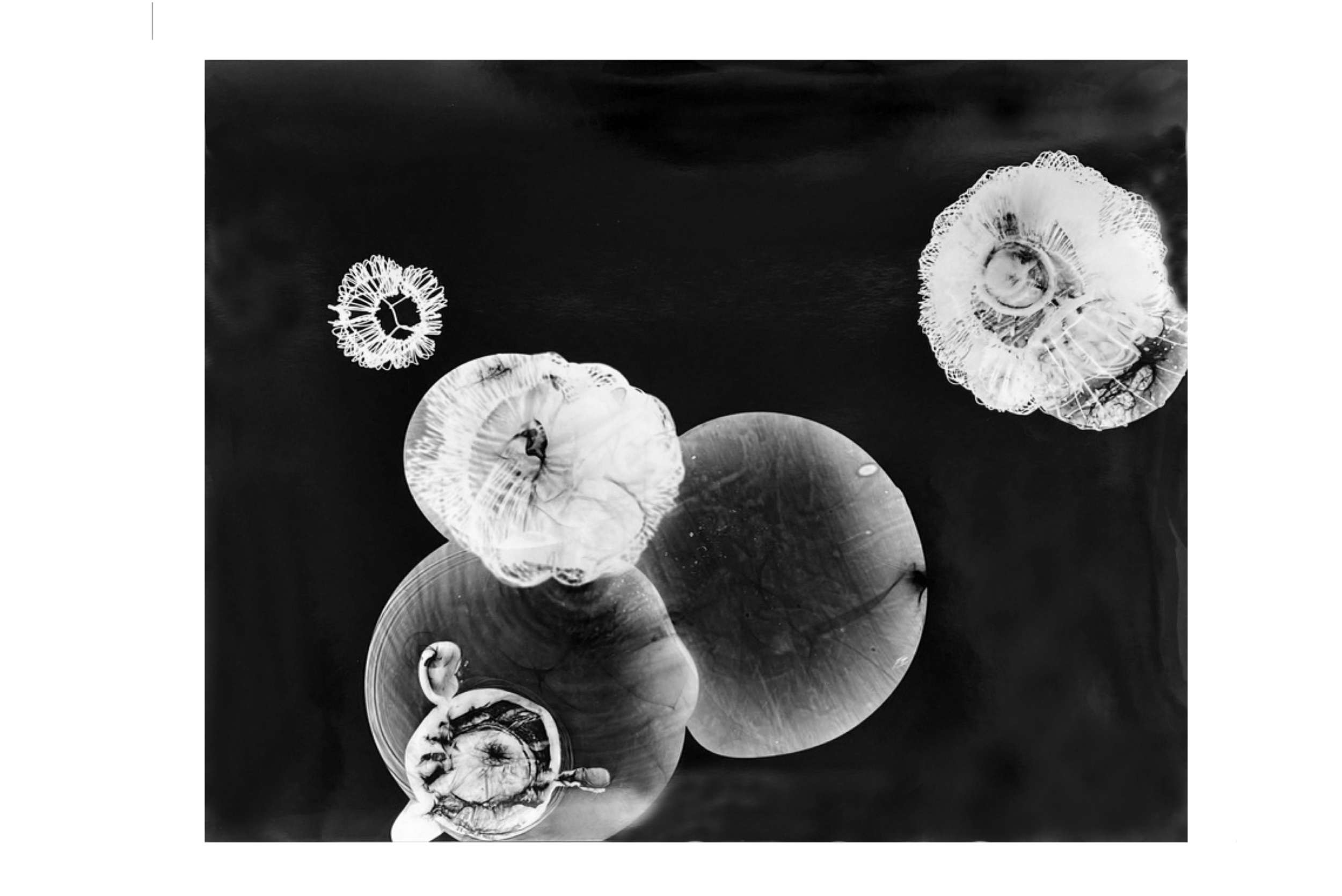 "Flare X Ray 1"
