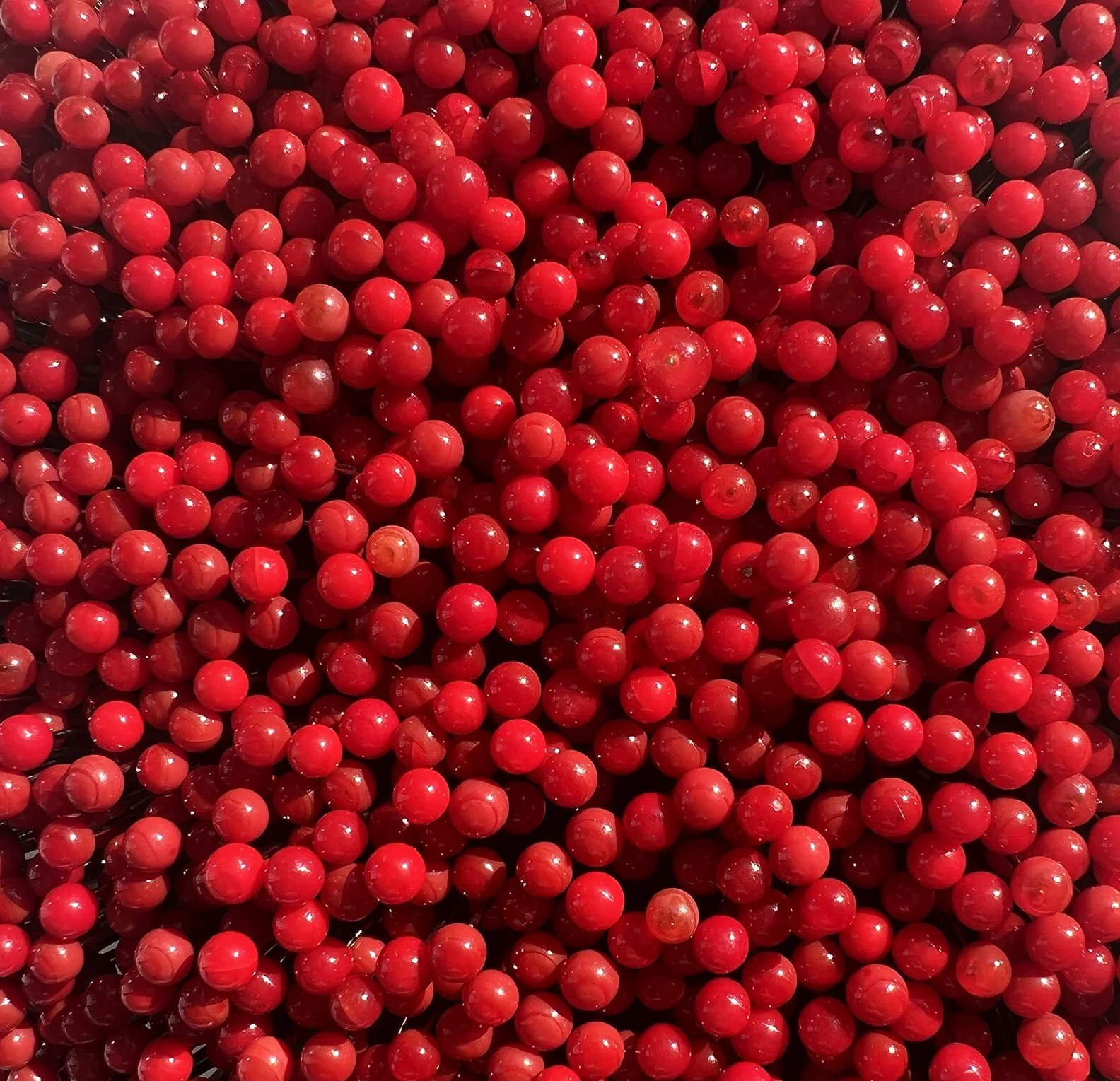 4.Beth_Dary_Crimson_detail.jpg