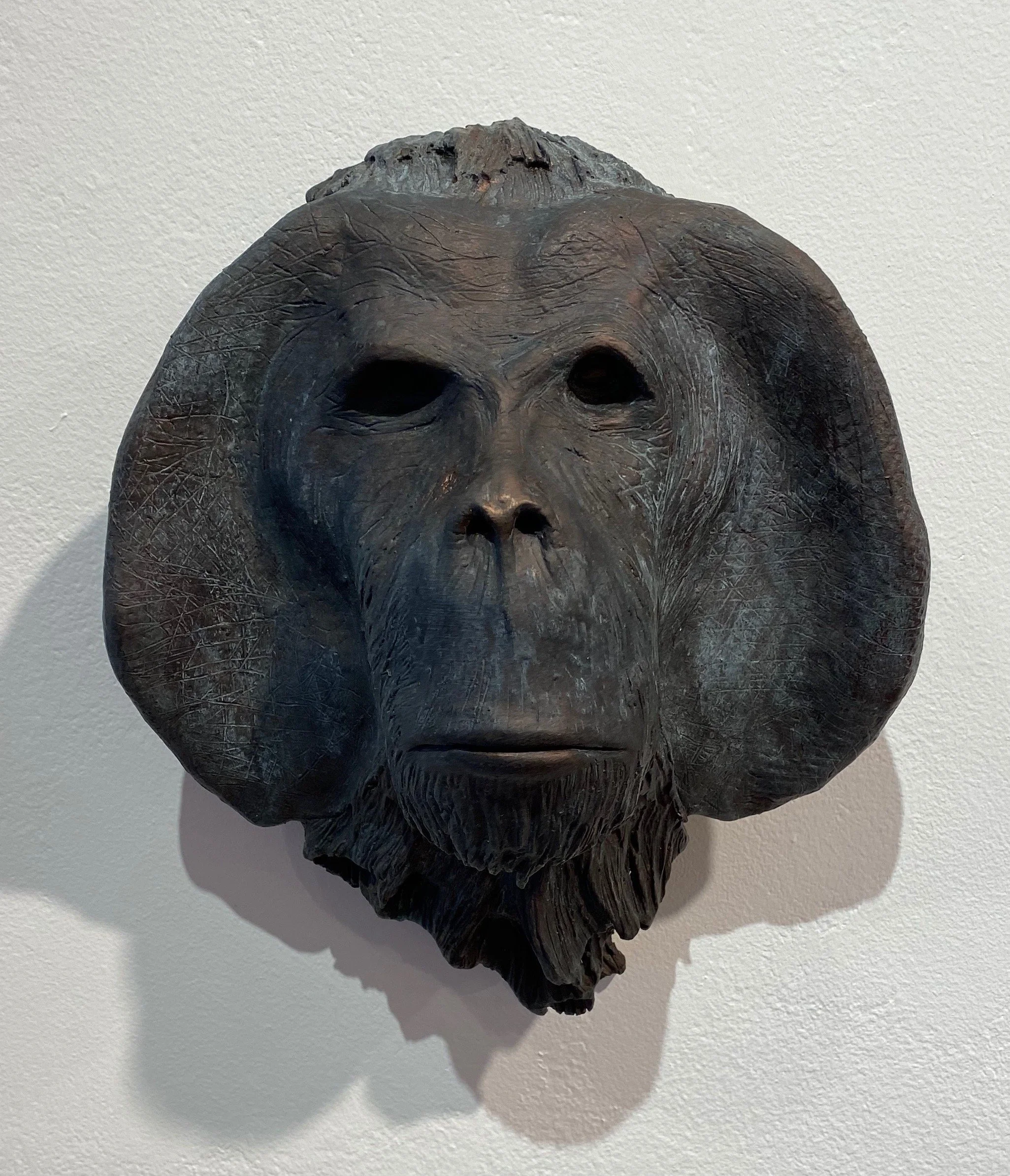 2.Borneo Orangutan.jpg