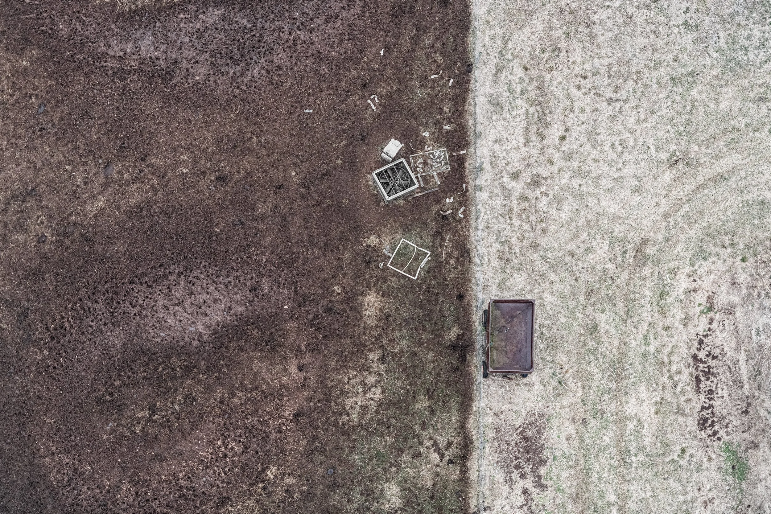 Zoe Wetherall, “Light and Dark"