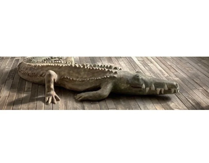 Crocodile
