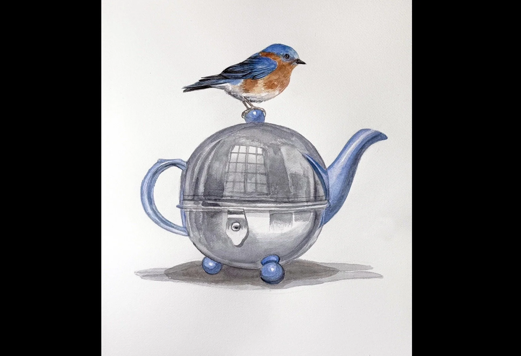 broadbent_bluebird.jpeg