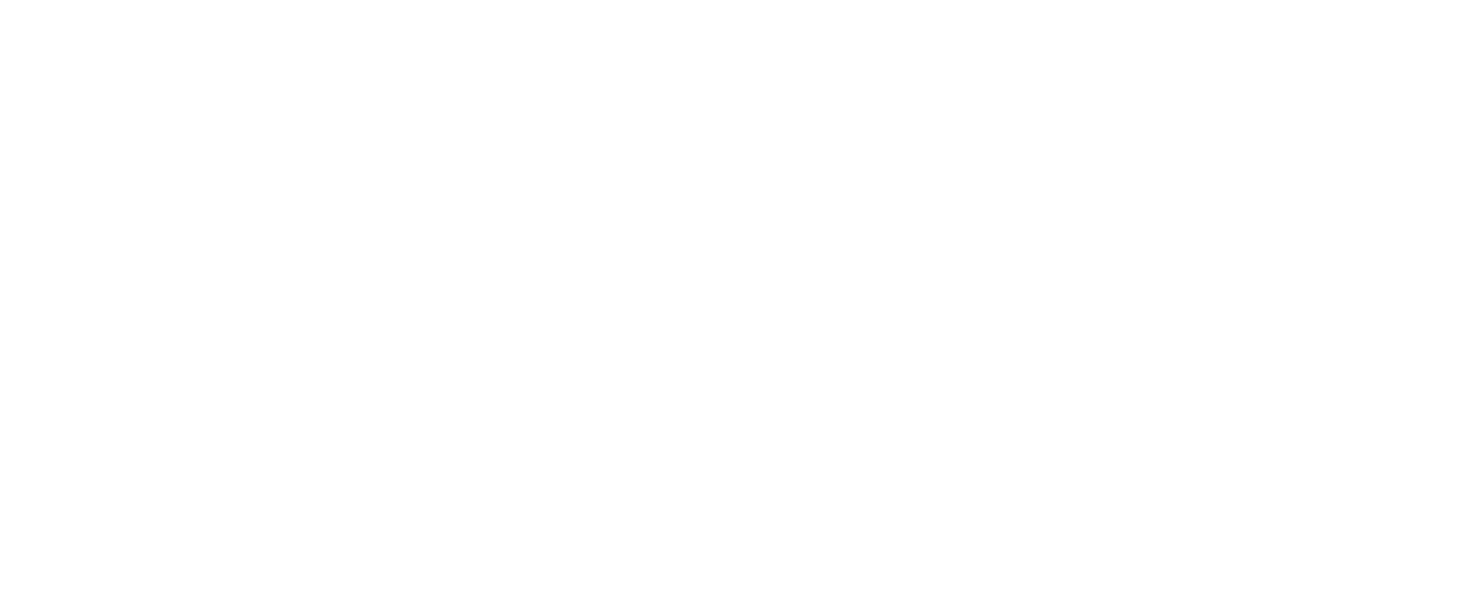 The Scoundrel & Scamp Theatre