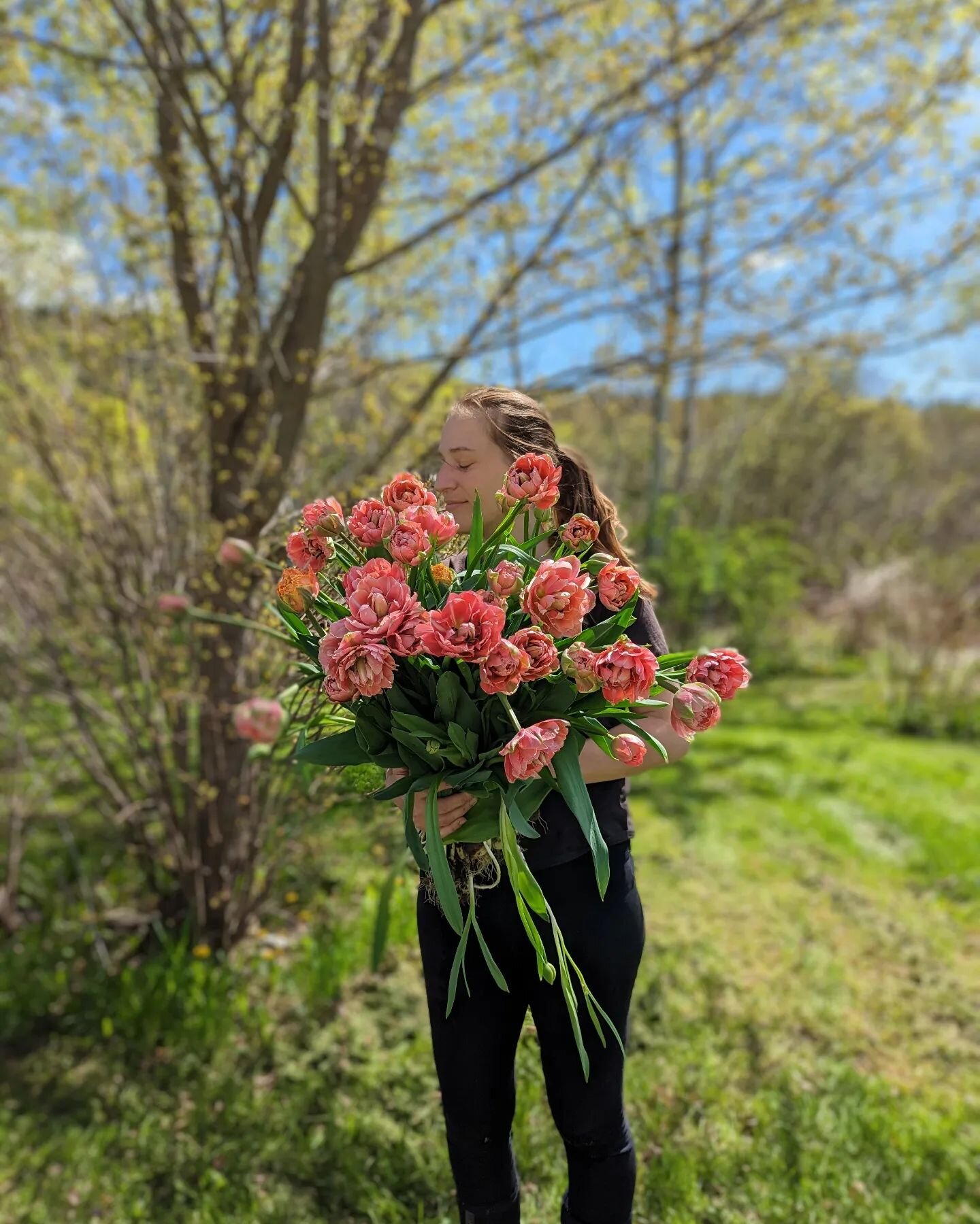Spring at last. The tulips are all coming in to bloom this week and my oh my are they gorgeous! We'll have a beautiful, fresh abundance available to purchase on the farm next Friday May 12th and Saturday May 13th. Don't forget to mark your calendars!