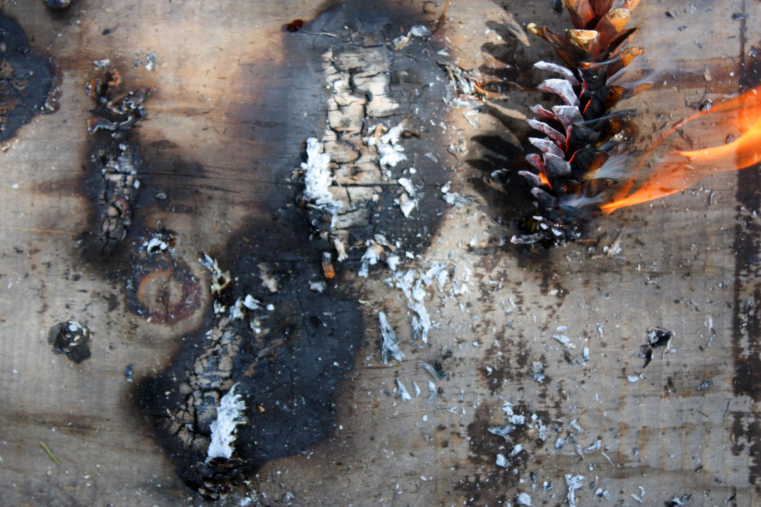 FIREMARKING