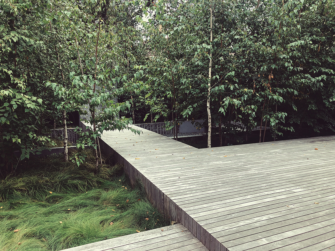 deck 01.jpg