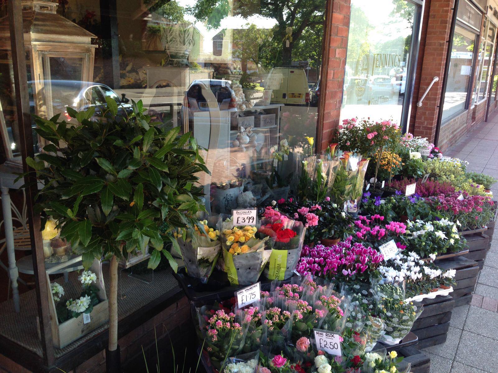 Bay Tree and Rows of Flowers Outside the Shop