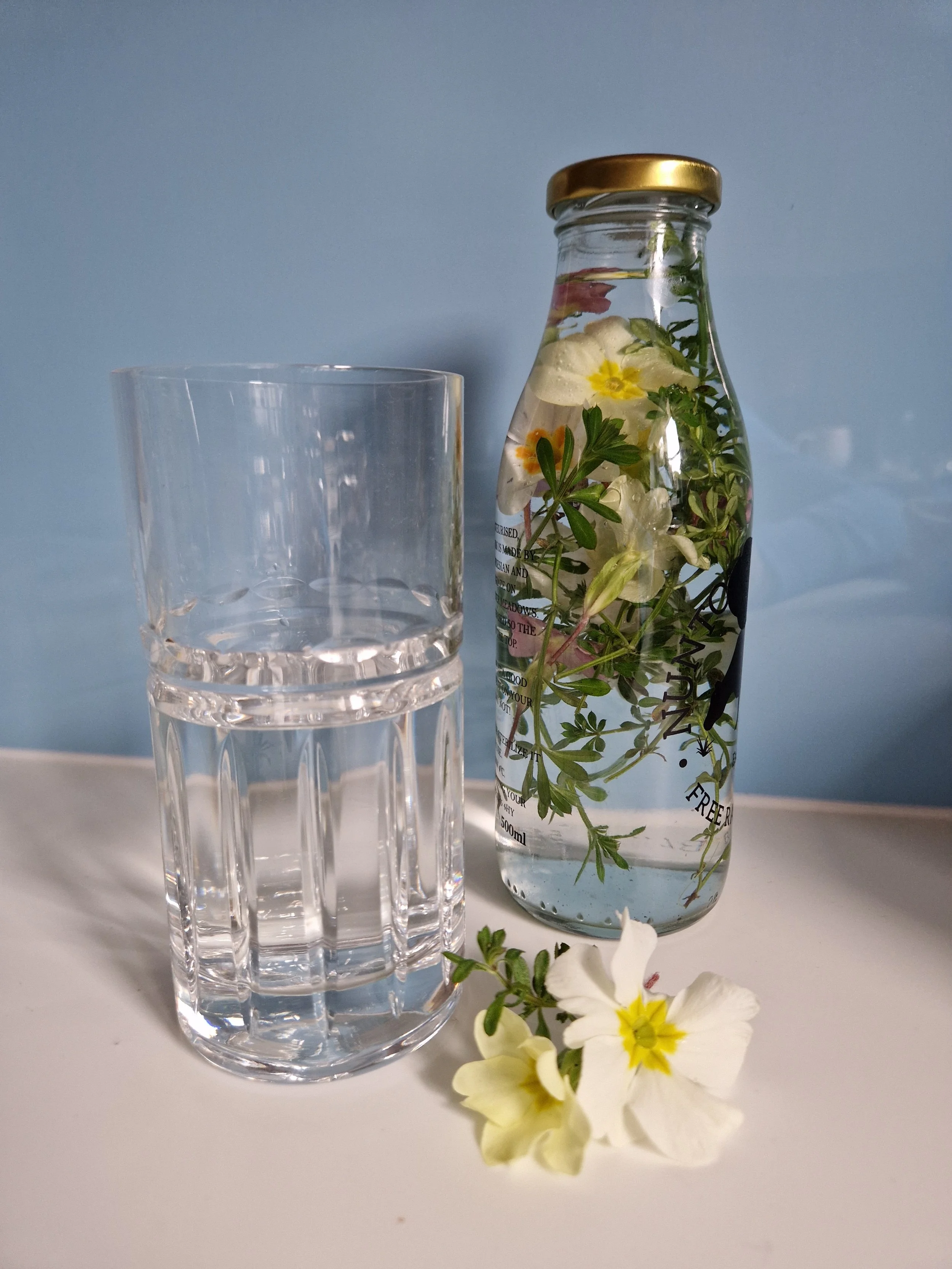 Easter foraging and ancient wisdom