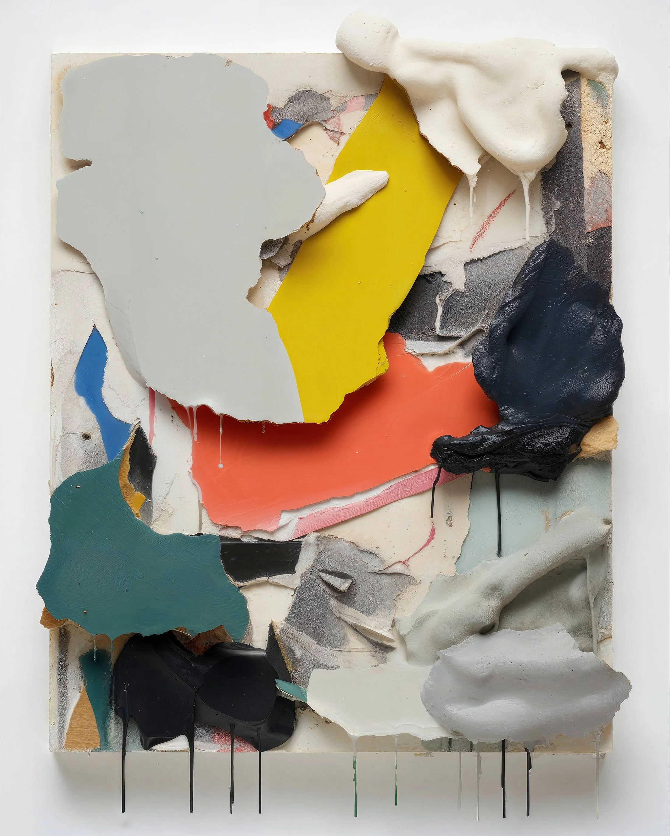 Crop PLASTER1_LRa.jpg