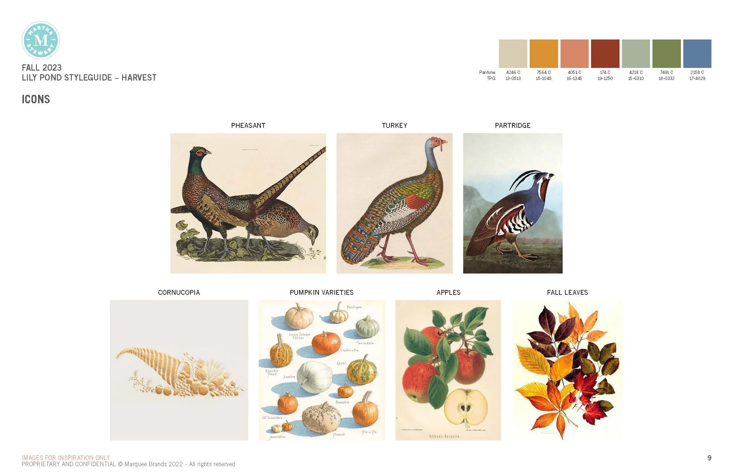 2023_DesignLab_MS_Fall_LilyPond_Page_09.jpg
