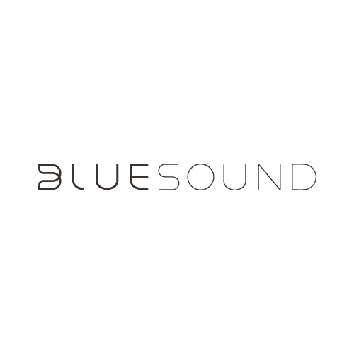 bluesound steve i.png