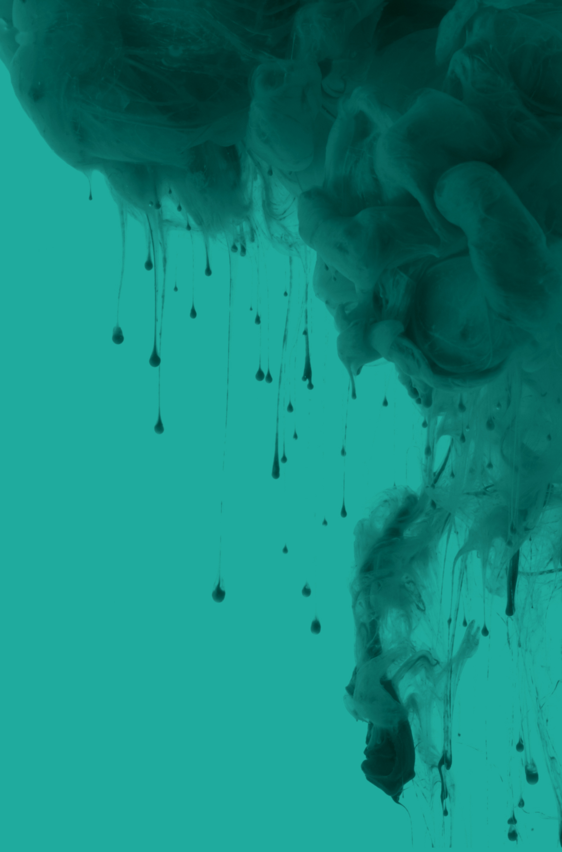 vitaliv-app-screen.jpg