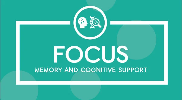 focus.jpg