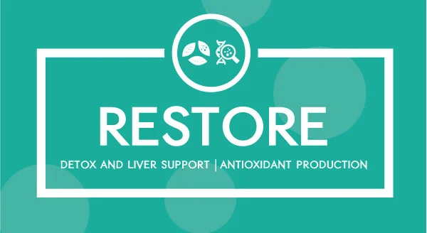 restore.jpg