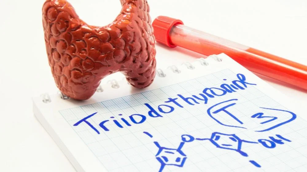 reverse-t3-ratio-thyroid-gland-hormone-feature-ss.jpg