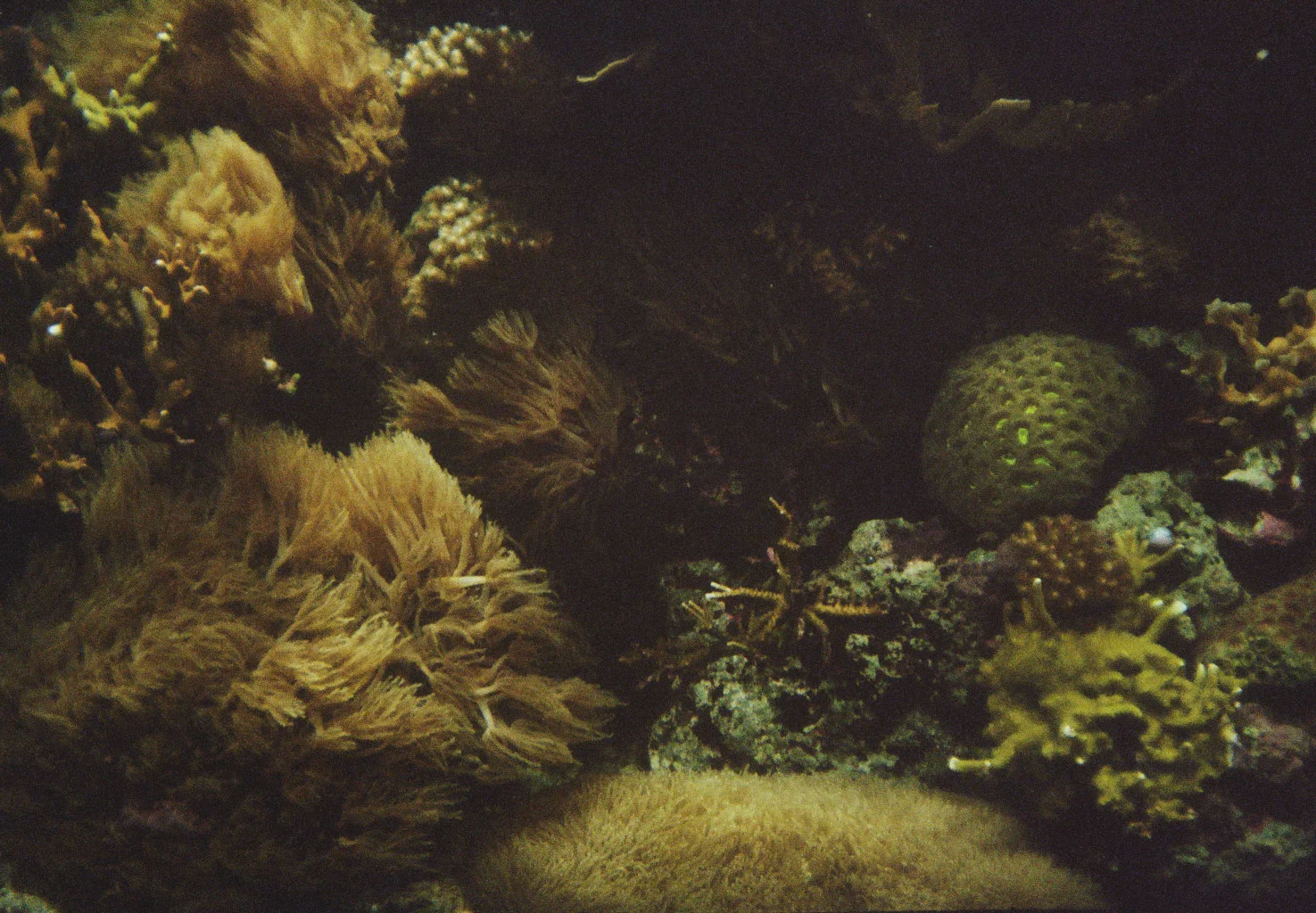 20100715-__6_0092.jpg